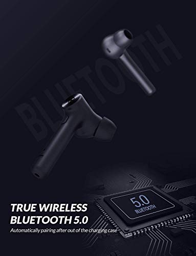 Panther Ear Pods