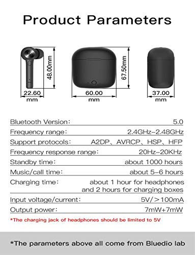 Panther Ear Pods