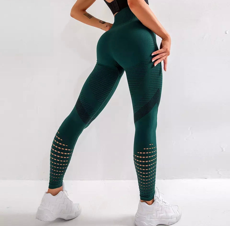 Women’s High Waisted Tights
