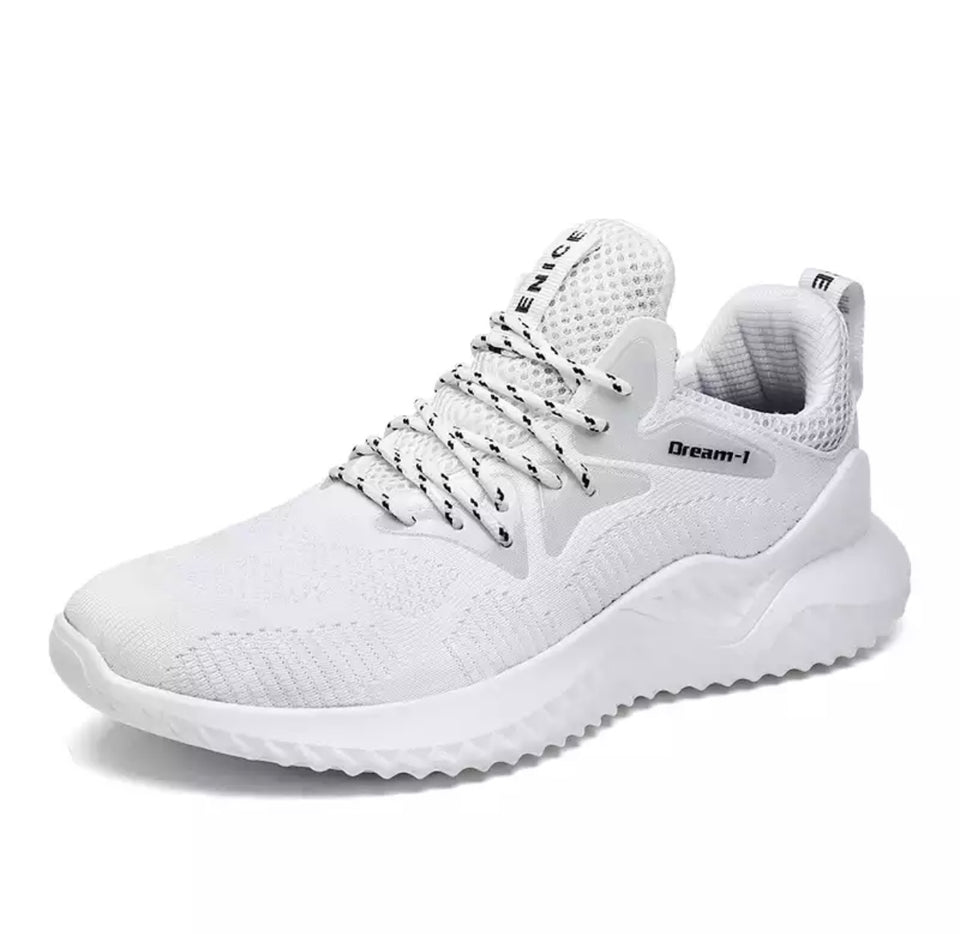 King Dream Trainer